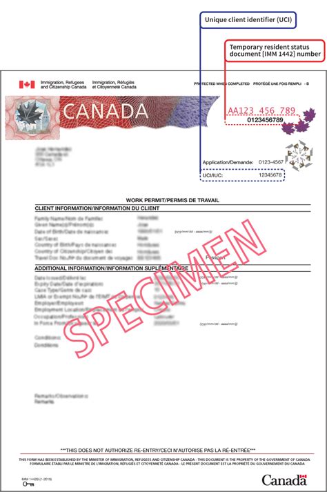 imm1442 document number where to find|imm 1442 work permit.